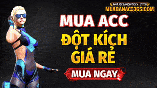 Tài khoản đột kích