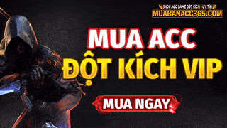 Tài khoản đột kích