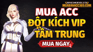 Tài khoản đột kích